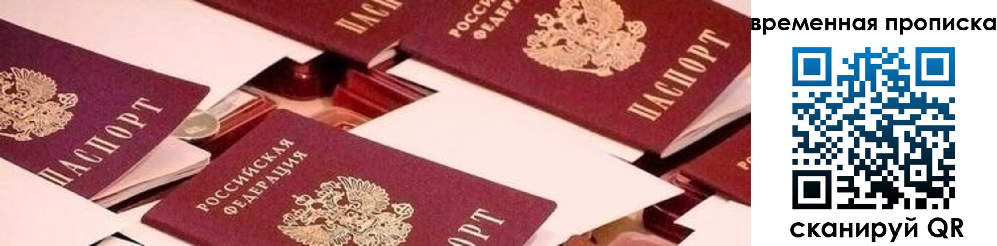 временная регистрация гарантия в Курской области